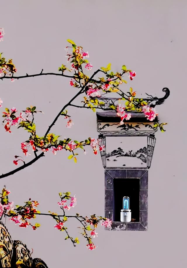 厦门通士达:文化传承,影像创新 | 摄影拉力赛图赏