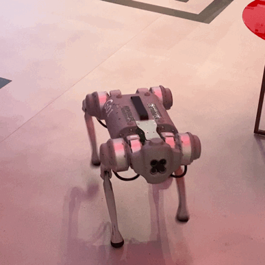 ����ʿ��2023������չ����80���±�ֵ�ù�ע��