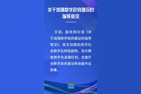 这，就是数字政府建设的“任务书”和“施工图”图片