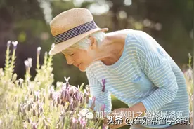 旅游签也可享受本地福利？加拿大养老机构&专业护工申请条件图片