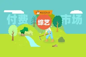 加更、分账、衍生，综艺发力付费市场？图片