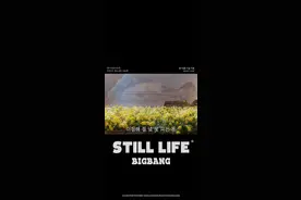 “Bigbang still life壁纸”图片