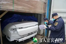 【春分】春光无限好！三江大地满目新图片