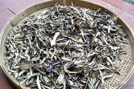 入秋这菜正上市，买50斤晒干，能放一年，营养又好吃，烧肉太香了图片