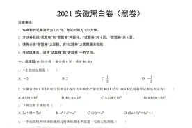 2023年安徽省中考数学黑白卷（黑卷）图片