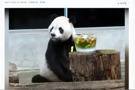 龙应台，被读者抛弃图片