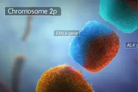 最全肺癌慈善赠药大全，可减免数十万药费图片