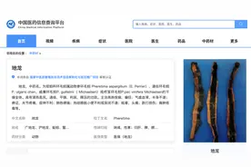蚯蚓干价格暴涨，专家：应进行产业化、规模化养殖图片
