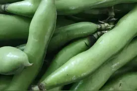 不敢吃我禁忌了半辈子的煮蚕豆，果然不幸的人要用一生去治愈童年图片