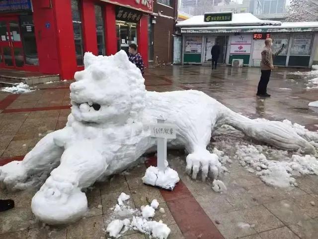 大郑州堆雪人内卷严重，哪个是金奖？全河南的雪人都在这里了