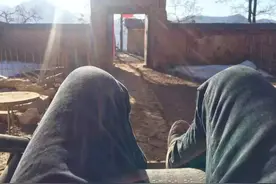 一出太阳，草地上长满了发霉的四川人图片