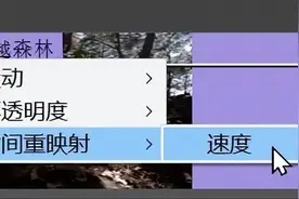 Pr剪辑中如何制作时快时慢的变速视频？图片