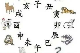 补肾阴、肾阳中药大全图片