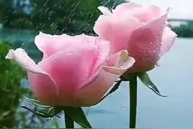 女人敢在这三个时候、这样对你，其实是告诉你，她想你了图片