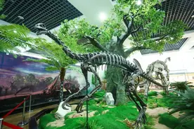 亲子游攻略 |金昌游玩去这些地方就对了～图片