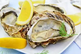 生蚝的裙边是什么，裙边越黑就代表越脏吗？图片