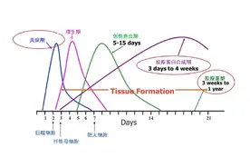 热玛吉跟胶原蛋白有什么联系？图片