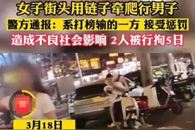 惊现！海口发生一起伤风俗之事，女子将男子当宠物牵爬，二人被拘图片