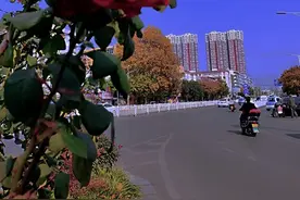 集体土地征收过程中违法强拆引发的行政赔偿案件如何审查处理?图片