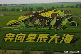 稻梦空间，非常值得一去！图片