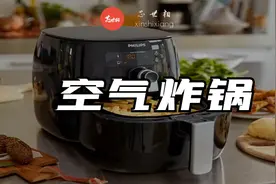 抄板、贴牌、售价几十块！空气炸锅的爆火与内卷图片