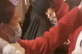 警方已调查！“玲娜贝儿”被游客打头，“咚”一声…网友气疯图片