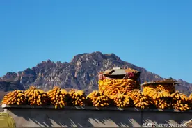 「话题」：说说#专家谈土地撂荒：让农民赚钱最关键#这件事图片