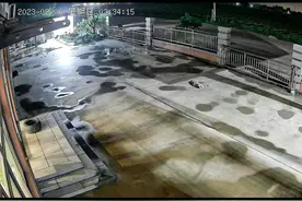 山东地震来临前，狗狗已预知危险信号，站起来马上往房子里跑！图片