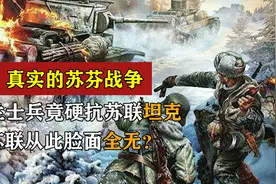 苏芬战争，强大的苏联进攻芬兰，为什么会被芬兰打得那么惨？图片