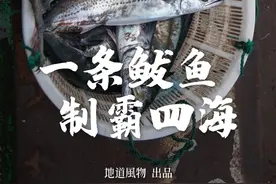 南方vs北方，哪里的鲅鱼（马鲛）最好吃？图片