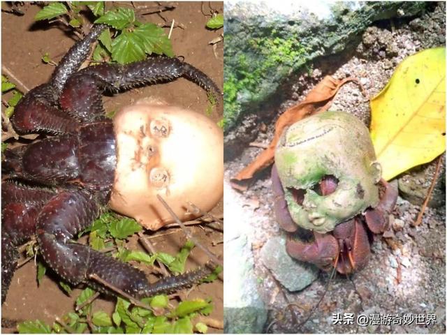 看完这组震撼的图片，才明白大自然有多可怕…