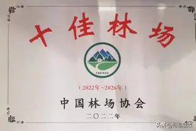 ​旬邑马栏国有生态林场荣获“全国十佳林场”称号！图片