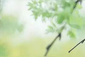鉴赏167· 境由心造：“惟余两鬓无情雪，最耐人间解冻风”图片
