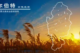 杜尔伯特大全图片