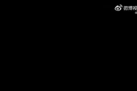 《动物世界 》图片