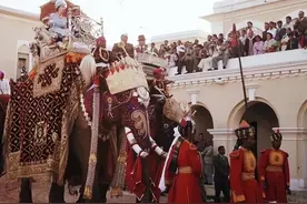 1961年，35岁英国女王访问前殖民地印度，坐在高高的大象上好威风图片