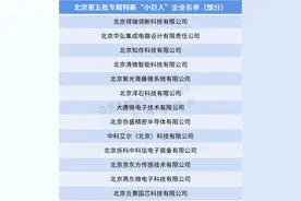北京新名单公布：逾10家半导体企业上榜图片