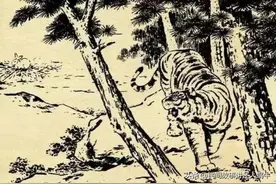 民间故事：老虎扑倒樵哥却不吃，小举动结下虎兄弟，知县：让虎来图片