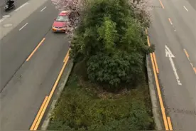 同城配送，日入1000-3000,你怎么看？图片