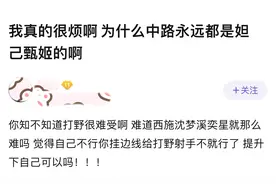 王者荣耀玩家吐槽：“真烦！为什么中路总是碰到妲己和甄姬啊？”图片