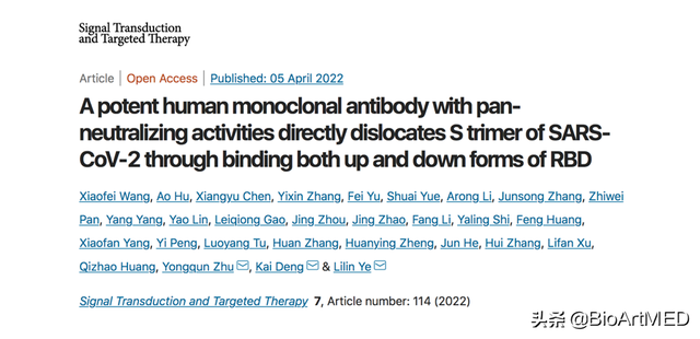 陈志伟等揭示新冠受关注变异株“全谱”中和单抗的作用机制