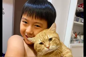 自从儿子放寒假后，猫咪在家里就愁容满面的：能不能让我安静会图片