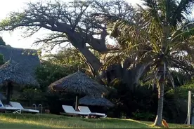 在国外不抽烟，不喝酒的人混得好吗图片