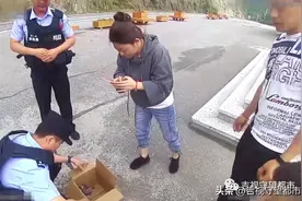 受伤红隼跌落路边，民警及时救助图片