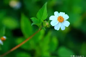 聪明人和亲戚来往时，都懂得在这些事情上装傻图片