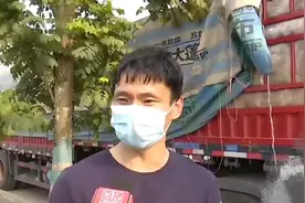 司机从甘肃拉一车土豆到海南,收货方拒收，也不付运费！司机：我不能白拉啊？收货方：没收货，凭啥付运费？图片