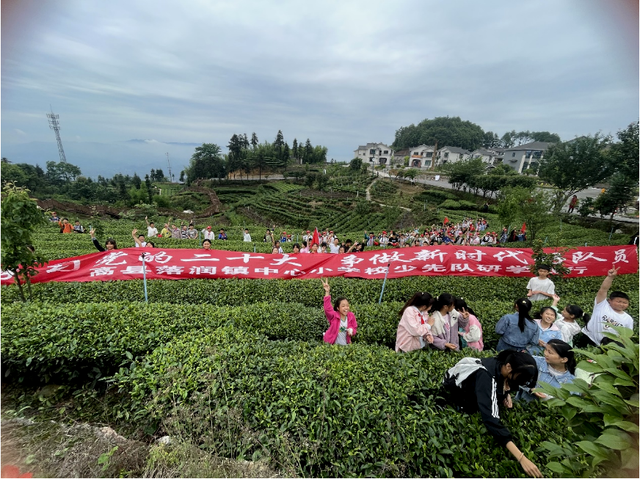 四川省民生研究会新媒体中心-官网