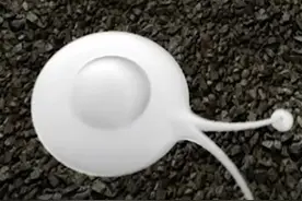 第七类接触图片