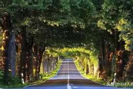 老外为啥爱来中国图片