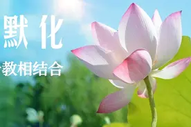 《家庭教育促进法》教你育儿（四）潜移默化，言传与身教相结合图片